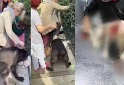 Banu Parlak’ın komşusunun köpeği Leo'nun ölümüne ilişkin davada ilk duruşma