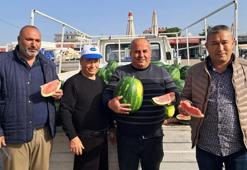Antalya'da sezonun ilk erkenci karpuzu kilosu 40 liraya alıcı buldu
