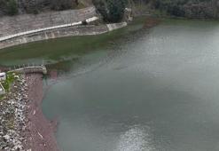 Kuraklık nedeniyle alarm veren barajlar doldu, kapaklar açıldı: Bursa, yeniden 'su şehri'