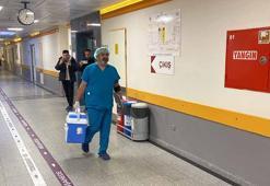 Rize'de beyin ölümü gerçekleşen 96 yaşındaki kadının organıyla yaşama tutunacak