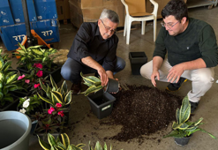 Bitkilerden elektrik üretildi; Bolu ve Ankara’dan ekip biyopil geliştirdi