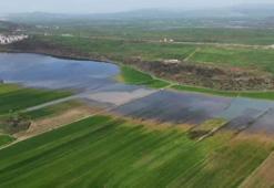 Gaziantep’te su altında kalan ekili tarım arazilerinde tahliye çalışmaları