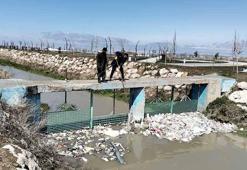 İnci kefalinin göç yolunda 2 ton atık temizlendi