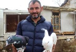 Hobi olarak başladığı güvercin tutkusunu 35 yıldır sürdürüyor