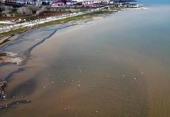 Van Gölü kıyılarında suyun rengi kahverengiye döndü