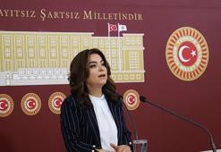 DEM Parti'li Koçyiğit: Sürecin geciktirilmesini doğru bulmuyoruz