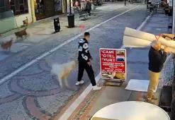 Sokak köpeğinin saldırısında yaralandı; o anlar kamerada