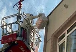 Oğul veren bal arıları nedeniyle yaya ve araç trafiği durdu