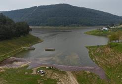 Koyunların otladığı baraj tekrar doldu