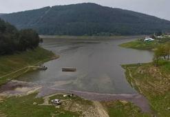 Koyunların otladığı baraj tekrar doldu