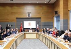 İçişleri Bakanlığı Müşaviri Karaca: Sahipsiz sokak hayvanlarının yüzde 78'i toplandı