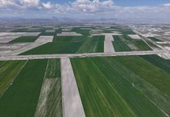 Konya Ovası'nda yağışlarla hububatta 500 bin ton rekolte artışı bekleniyor