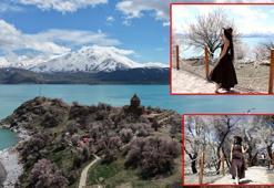 Badem ağaçlarının çiçekleriyle güzelleşen Akdamar Adası'nda turist yoğunluğu