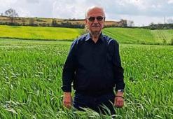 Edirne’de hububatta ‘kök çürüklüğü’ hastalığı görüldü