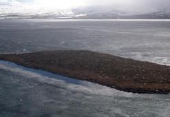 Çıldır Gölü, kuş cennetine döndü