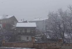 Posof'ta kar yağışı etkili oldu