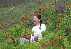 Muş'un zirveleri ters lalelerle renklendi
