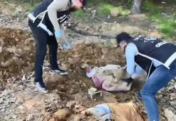 Pendik'te düzenlenen operasyonda toprak altındaki depoda binlerce silah parçası bulundu