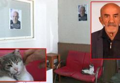 40 gün önce evden çıkan Alzheimer hastası bulunamadı; yakınları ve kedisi 'Zilli' onu bekliyor