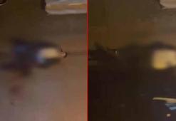 Zeytinburnu'nda sokak ortasında silahla vurulan kişi ağır yaralandı