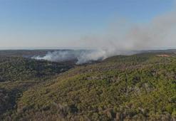 Beykoz'da ormanlık alanda çıkan yangın söndürüldü