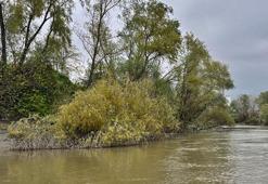 Nehre düşen 10 yaşındaki Ahmet'ten 7 gündür bir iz yok