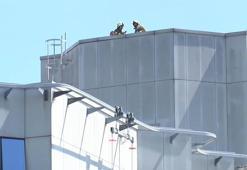 Beşiktaş'ta 20 katlı otelde yangın paniği