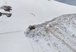 Ordu'da 4 metreyi bulan karla mücadele çalışması