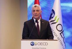 Bakan Bolat: Kritik madenlere çok büyük ihtiyaç var