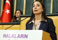 DEM Parti'li Hatimoğulları: Barış gemisini limana ulaştıracağız