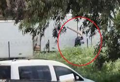 Tavuklarını yediği gerekçesiyle sokak köpeğini sopayla döven kişi gözaltında