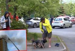Ataşehir’de 8 katlı binanın en üst katında yangın; engelli köpek içerde mahsur kaldı