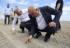 Erkoyuncu, pancar ekimine katıldı