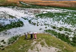 Akşehir Gölü, 8 yıllık kuraklık sonrası canlanıyor