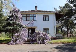 Filozof Teoman Duralı Müzesi projesi için inceleme yapıldı