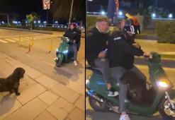 Sokak köpeği motosiklete binmek istedi; o anlar kamerada
