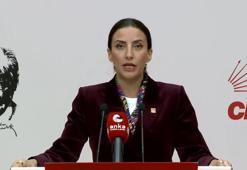 CHP'li Rızvanoğlu: Bu ülkenin ormanları sahipsiz değil