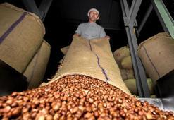 Doğu Karadeniz'den ilk 4 ayda 678 milyon dolarlık ihracat