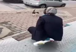 Kedinin yüzüne sprey sıkan market çalışanı gözaltına alındı