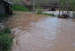 Şırnak’ta Habur Çayı taştı, ev ve ahırları su bastı