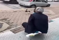 Kedinin yüzüne yağ çözücü sprey sıkan market çalışanı adli kontrol şartıyla serbest