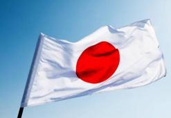Japonya'da zincirleme trafik kazası: 1 ölü, 26 yaralı