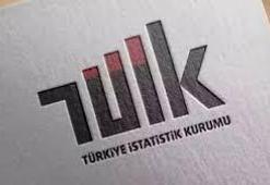 TÜİK: Aylık en yüksek reel getiri BIST 100 endeksinde oldu