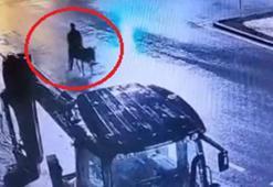 Kuyumcu dükkanından ziynet eşyası çalıp, eşekle kaçan sanığına 9 yıl 7 ay hapis