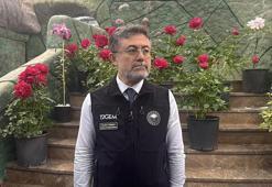 Yalova'da Geofit bahçesinde inceleme yapan Bakan Yumaklı: Yılda 2 milyar adet süs bitkisi üretiyoruz
