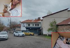 Kurdukları dernekle ev kiralayıp, sokak kedilerine yuva oldular