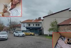 Kurdukları dernekle ev kiralayıp, sokak kedilerine yuva oldular