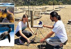 Caretta carettaların yumurtlama dönemi başladı