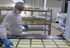 Erzincan'da günlük 45 ton kapasiteli süt fabrikası çiftçiye gelir sağlıyor