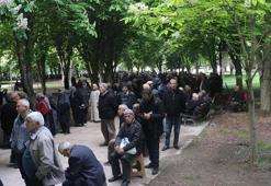 Kayseri’de 300 bin domates fidesi dağıtıldı; metrelerce kuyruk oluştu